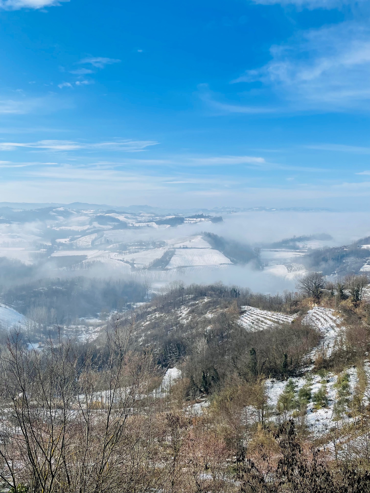 IMG_8027
